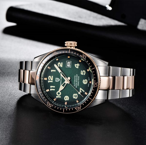 PAGANI Design Top Brand Luxury Mens Watches Automatic Watch Men Stainless Steel Waterproof Business Sport Mechanical 2
